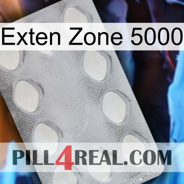 Exten Zone 5000 16.jpg